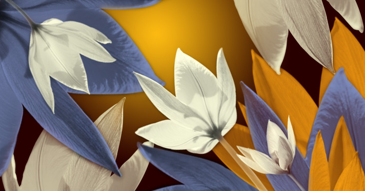 flower backgrounds for photoshop. Flower+ackgrounds+for+